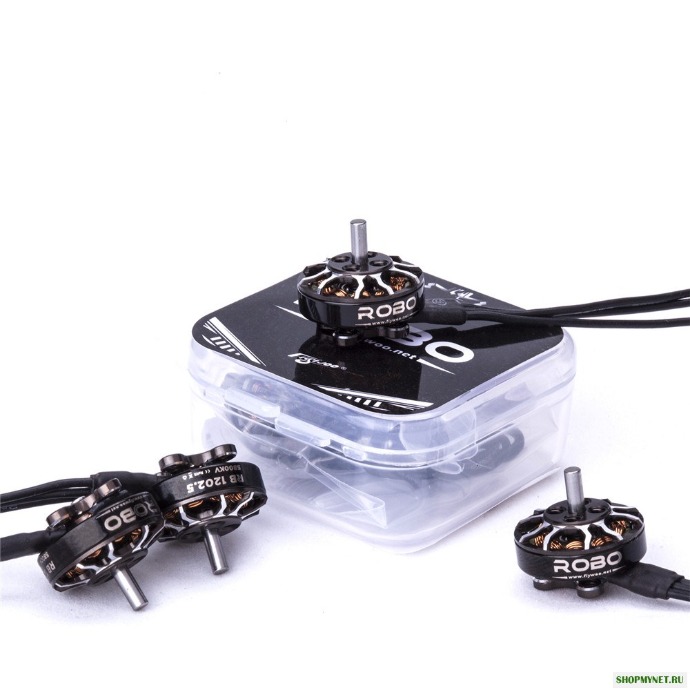 Flywoo ROBO Series Мотор RB 1202,5 5800KV 2-4S 2мм Вал Бесколлекторный мотор для зубочистки FPV Racing RC Дрон