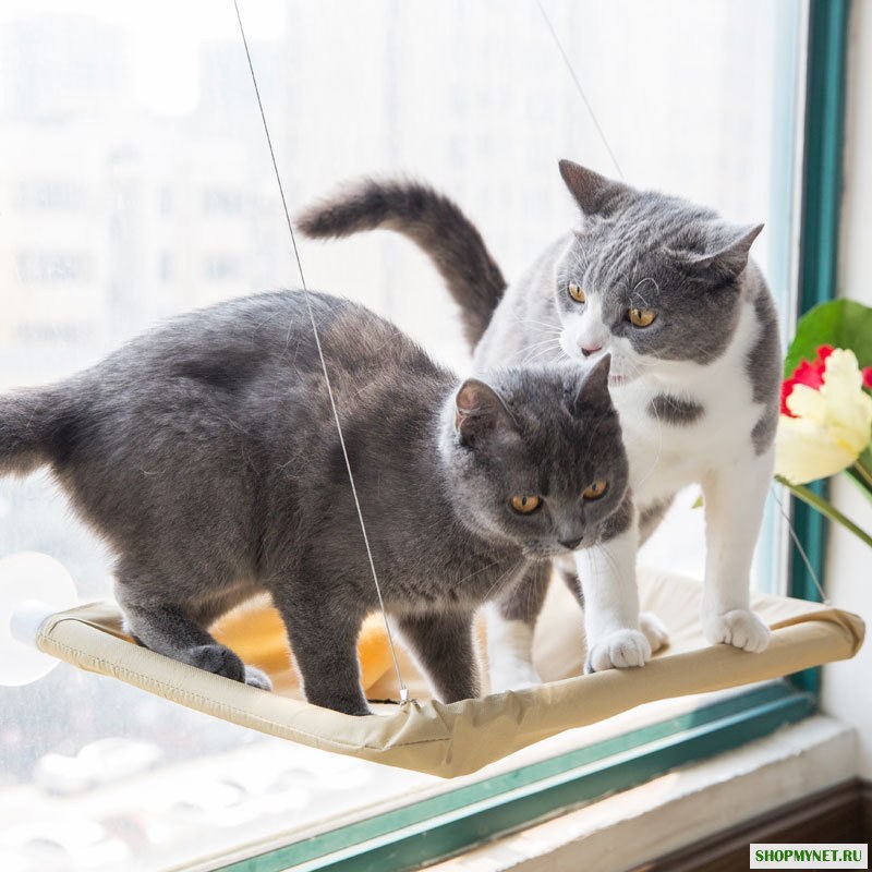 Yani HP-DC1 Pet Кот Гамак для окна Soft Кот Питомники 15KG Кот Безопасная подвесная полка для сиденья для домашних животных